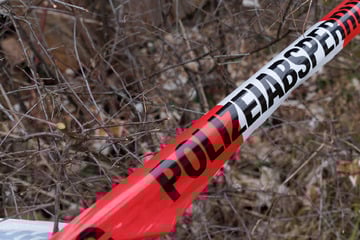 Schock-Fund: Jäger entdeckt menschliche Knochen in Waldstück