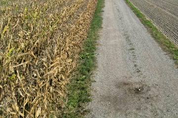 Leipzig: Zeugen gesucht: 24-Jähriger wird in Hinterhalt gelockt und angegriffen - Mittäter in Haft