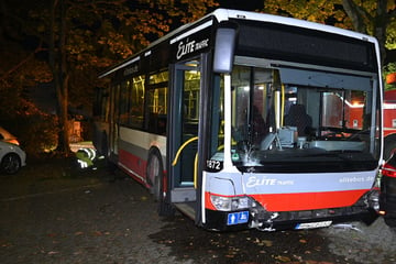 Medizinischer Notfall? Bus rammt Baum, Schranke und Auto, zwei Verletzte