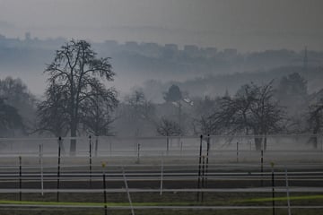 Schnee und Regen im Ländle: Trockeneres Wetter in Sicht