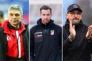Regionalliga Nordost: Drei Teams setzen sich ab - was macht sie so stark?