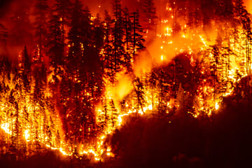 "Bigger, hotter, faster": Extreme wildfires drive rise in greenhouse gas emissions