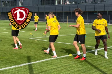 Dynamo-Dresden-Blog: Okpala und ein weiteres frisches Gesicht im SGD-Training