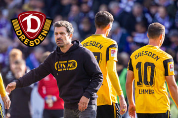 Dynamo hat ein Führungsproblem! Zehn Zähler weg