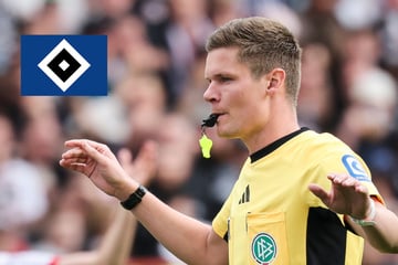 HSV-Blog: Dieser Schiri pfeift die Rothosen in Wolfsburg