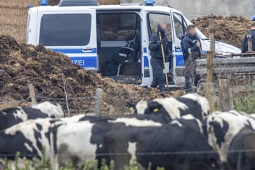 Mordkommission ermittelt im Fall des kleinen Fabian (†8) - Ermittler äußern Bitte