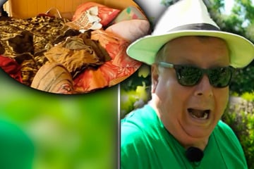 Leipzig: Sächsischer Gartensheriff in Messie-Garten: Dann passiert ihm ein Missgeschick