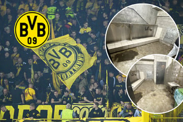 Lost Place oder Champions-League-Stadion? BVB-Fans erleiden Klo-Schock