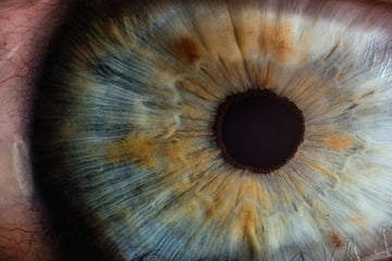 Horoskop heute: Tageshoroskop kostenlos für den 17.6.2025