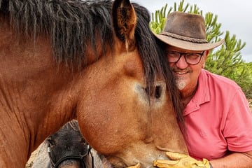 Bauer sucht Frau: Bauer sucht Frau: Schicksalsschlag führt Olaf nach Portugal - Wer will ihn und seine 20 Haustiere kennenlernen?