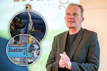 In Dresden verkündet! Majestätischer Vogel ist das Zootier des Jahres