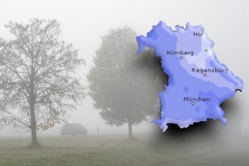 Regen, Nebel und Frost: November-Wetter hat Bayern im Griff