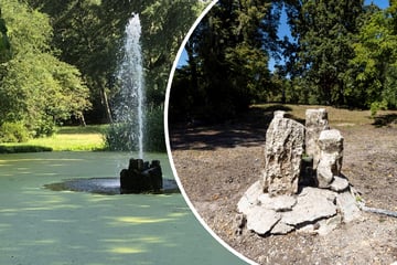 Dresden: Schon wieder trockengelegt: Fontäne im Blüherpark sprudelt nicht mehr
