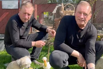 Leipzig: Zoo-Legende schafft sich süße Tierbabys an, aber: "Die sind der Weihnachtsbraten"