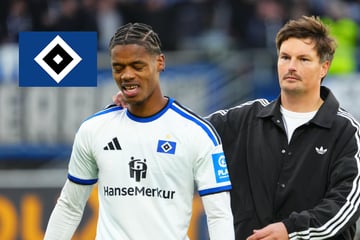 HSV-Trainer in der Schiedsrichterkabine! Gegentor bringt Polzin auf die Palme