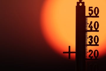 Extreme Hitzewelle fordert 9600 Leben: Zahl der Todesopfer doppelt so hoch wie bisher angenommen