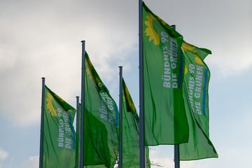 Grünen-Kandidat für Kommunalwahl angegriffen: War das der Hintergrund?
