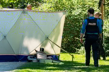 Wehrloser Senior in Park mit 81 Messerstichen ermordet: So lautet das Urteil gegen den Täter