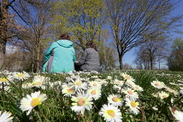 Erst Frost, dann Frühling! Köln knackt die 20-Grad-Marke