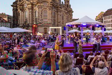 Dresden: Halbzeitbilanz beim Palais Sommer: Jeder Besucher spendete 19 Cent