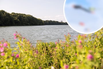 Hamburg: Nach Verletzungen: Diese skurrile Sportart ist im Öjendorfer Park ab sofort verboten
