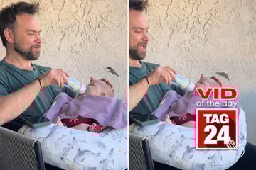Viral Video of the Day for February 10, 2026: Hummingbird hovers over newborn in magical moment