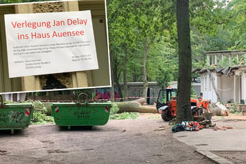 Baum kracht auf Leipziger Parkbühne: Konzert von Jan Delay verlegt!