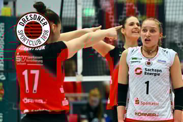 Nestler-Ausfall zu große Bürde: DSC-Kampf wird nicht belohnt