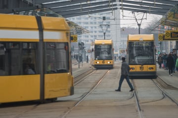 So fahren Bahnen und Busse der DVB in der Silvesternacht