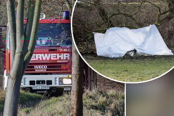 Schock-Fund in Sachsen: Leiche an Zwickauer Mulde entdeckt