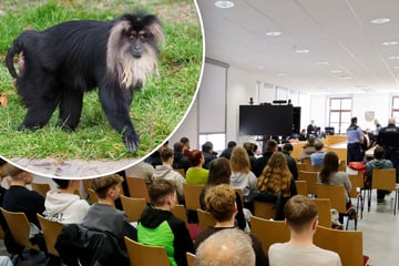 Prozess um "Affenbande" in Chemnitz: Angeklagte wollen auspacken