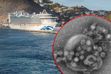 115 Menschen infiziert: Noch ein Virusausbruch auf einem Kreuzfahrtschiff