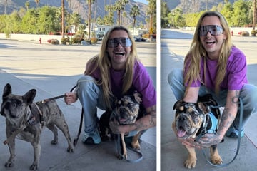 Zuckersüßer Neuzugang: Das ist Bill Kaulitz' neuer Hund