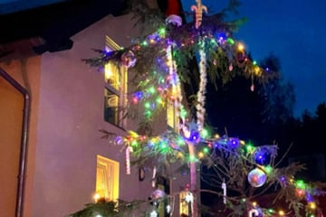 Erzgebirger suchen den hässlichsten Weihnachtsbaum