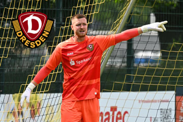 Nach Grill-Comeback: Vier Dynamo-Keeper für zwei freie Stellen