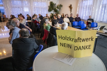 Chemnitz: Bürgerinitiative warnt erneut vor Holzkraftwerk in Chemnitz