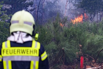 Waldbrand in der Gohrischheide: Feuerwehr ändert Einsatztaktik