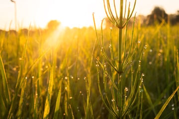 Wetter in Thüringen: Nach sonnigem Wochenstart wird es wieder unbeständiger