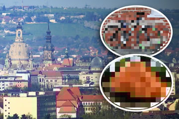 Auswertung verrät: Diese Dinge verkaufen Dresdner außergewöhnlich oft bei Kleinanzeigen