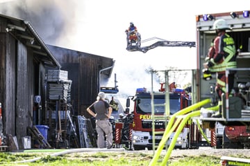 Feuer auf Geflügelhof: Hunderte Tiere verendet, zwei Menschen verletzt