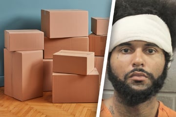 Mann soll bei Umzug helfen – doch als er in einen Karton blickt, läuft es ihm eiskalt den Rücken hinunter