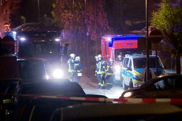 Messerattacke: Brutalo-Attacke auf Familie: Messerstecher wohl bester Freund der Mutter (26)