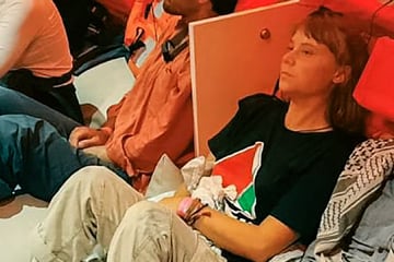 Greta Thunberg: Greta Thunberg wird in Israel festgehalten: Kaum Wasser, Zelle voller Parasiten und sogar Gewalt?