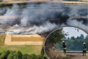 Leipzig: Beim Ernten von Getreide: Feldbrand breitet sich in Leipzig aus