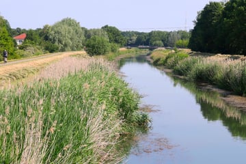 Sorge in Sachsen: Regen am Wochenende erwartet, Flüsse haben trotzdem nicht genug Wasser