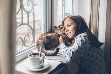 Ein knuddeliges Kaninchen oder eine Katze zum Spielen? Fibel klärt über Anschaffung von Haustieren auf