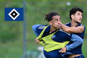 HSV-Blog: Kapitän Poulsen in der Startelf, Elfadli nicht im Kader