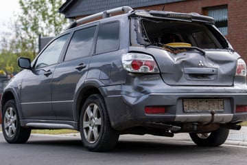Jungbulle büxt aus und springt gegen Auto: Kurioser Vorfall nimmt trauriges Ende