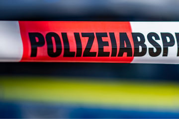 Schreckliche Gewissheit: Frau mit 19 Messerstichen getötet, Leiche in Gebüsch gefunden