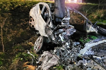Heftiger Unfall: Auto kracht gegen Baum, Fahrer stirbt in den Flammen